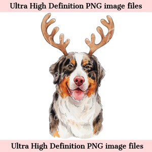 Digital - Berner Sennenhund PNG Weihnachtshund Porträt PNG - Download für süße Hundemama Rentier Geweih Weihnachten Shirt Sublimation