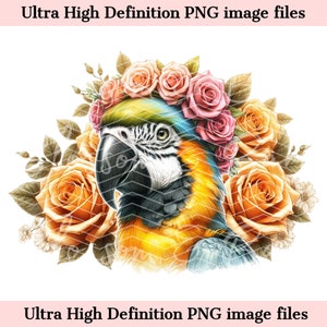 May include: A colorful illustration of a blue and yellow macaw wearing a flower crown. The macaw is surrounded by orange roses and other flowers.