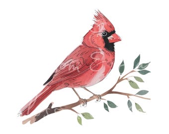Digital Watercolor Cardinal PNG Simple Bird PNG - Clip Art Download for Journaling Digital Sticker File for Planner - Safe for Commercial