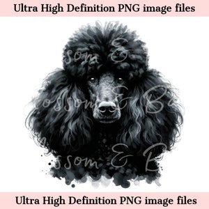 Digital Standard Poodle PNG Imprimible Retrato de perro PNG - Black Poodle Dog PNG - Descargar para sublimación de camisa de mamá perro - Seguro para uso comercial