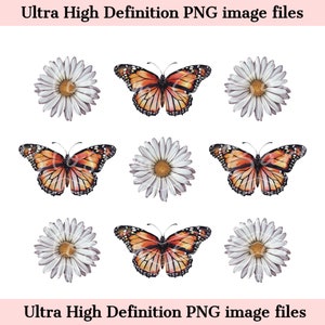 Retro Butterfly PNG - Download istantaneo - Cute Groovy Daisy Flower PNG per sublimazione di camicia e bicchiere - Summer Wildflower Cottagecore PNG
