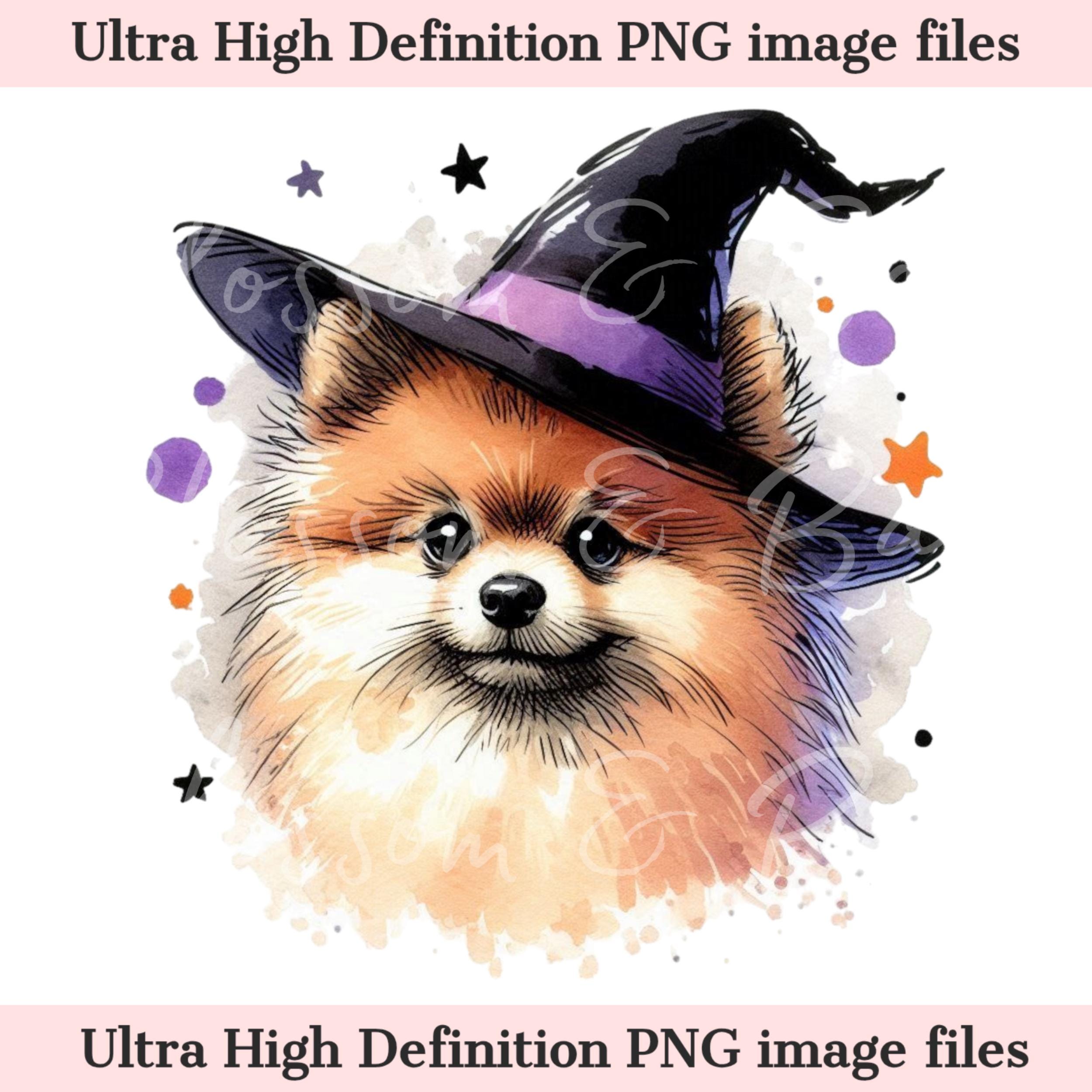 Digital Pomeranian Halloween Dog PNG, Cute Puppy PNG Autumn Witch Dog ...