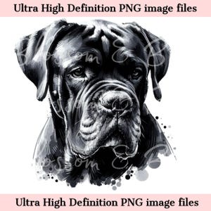 Retrato de perro en acuarela PNG de mastín italiano digital - Descarga para sublimación de camisetas de mamá de perro Cane Corso - Seguro para uso comercial