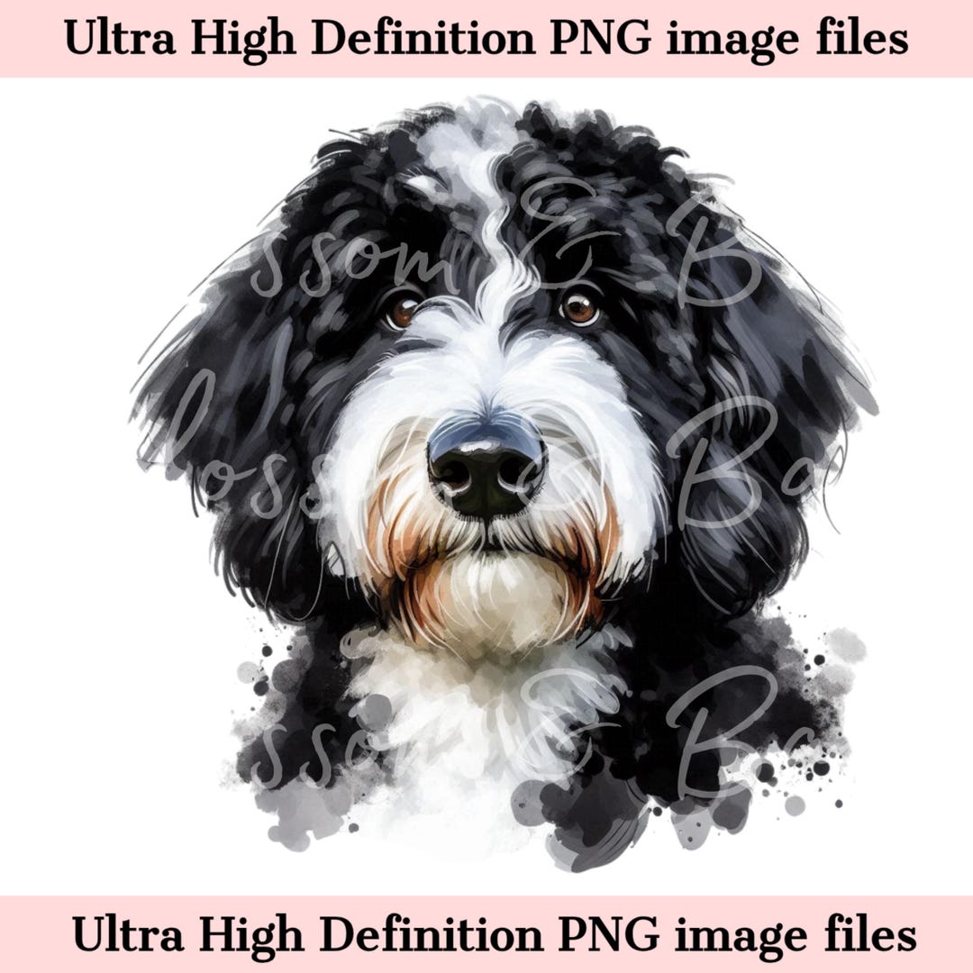 Digital Bernedoodle Dog PNG Beautiful Labradoodle PNG - Dog Art PNG ...
