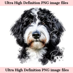 Numérique Bernedoodle Dog PNG Beautiful Labradoodle PNG - Dog Art PNG - Download for Cute Dog Mom Shirt Sublimation - Coffre-fort pour les publicités