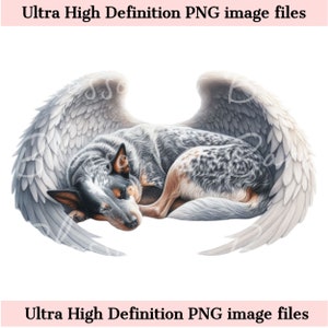 Digital Australian Cattle Dog PNG Dog Memorial PNG - Retrato de mascota con alas de ángel PNG Descarga instantánea para sublimación de Heeler Dog Grief