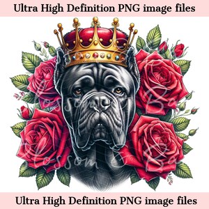 Digital Cane Corso Dog PNG King Crown PNG - Lindo Cane Corso PNG Descarga instantánea para peluquero de perros y regalo de sublimación de camisa de tatuaje vintage