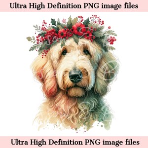 Digital Beautiful Doodle Dog PNG Navidad Acuarela PNG - Holiday PNG - Descargar para sublimación de camisa Golden Doodle - Seguro para uso comercial
