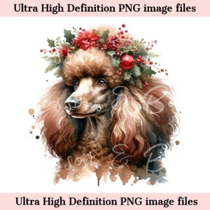 Digitaler brauner Pudelhund PNG Weihnachten Aquarell PNG - Urlaub Blumen PNG - Download für Pudel-Shirt-Sublimation - Sicher für kommerzielle Nutzung