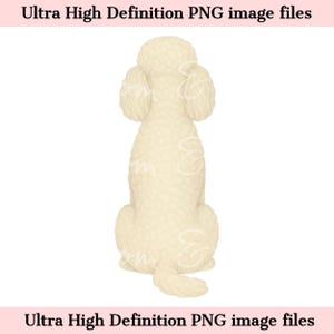 Digitale - Vista posteriore del cane barboncino standard PNG Clipart del cane barboncino standard per sublimazione, ritratto di animale domestico ad alta risoluzione, download del cane barboncino