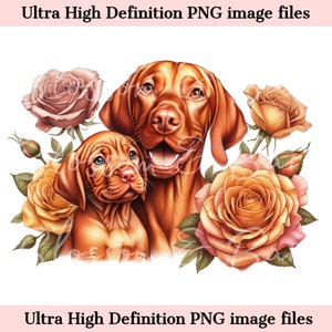 Digitaler ungarischer Vizsla PNG Mama und Welpe PNG Hundekunst - netter Vizsla Hund PNG Sofort-Download für ungarischen Pointer Shirt Sublimationsgeschenk