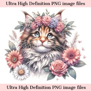 Numérique beau chat Maine Coon PNG fleur chat Art - mignon chaton PNG téléchargement immédiat pour décoration d'intérieur et cadeaux créatifs - mignon chat maman gif