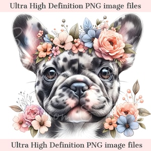 Digital Merle French Bull Dog PNG Flower Dog Art - Cute Frenchie Puppy PNG Download instantâneo para decoração de casa e artesanato, presente e sublimação