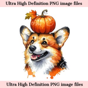 Retrato de perro otoñal PNG de Pembroke Welsh Corgi digital PNG - Descarga para sublimación de camiseta de calabaza de mamá de perro Corgi lindo - Seguro para uso comercial