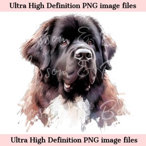 Retrato digital de perro Terranova PNG en acuarela PNG - Descarga para sublimación de camiseta de mamá perro Terranova marrón - Seguro para uso comercial