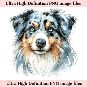 May include: A watercolor painting of an Australian Shepherd dog with blue eyes. The dog is looking directly at the viewer with a friendly expression. The dog's fur is blue merle with brown and white markings.