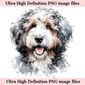 Numérique Bernedoodle Dog PNG Beautiful Bernese Mix PNG - Dog Art PNG - Download for Cute Dog Mom Shirt Sublimation - Coffre-fort pour les publicités