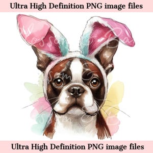 Digitales Ostern Boston Terrier PNG Hundeporträt PNG - Boston Terrier PNG - Download für Terrier Dog Mom Ostertag Sublimation