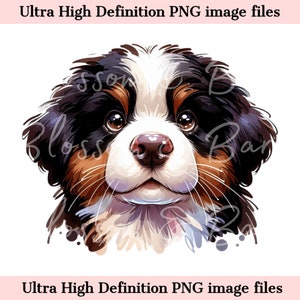 Berner Sennenhund süsser Hund PNG - Instant Download für süße Hundemama Shirt Sublimation - Chibi Welpe PNG - süßes Herz Hunde Portrait Clip Art