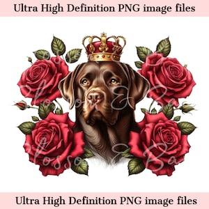 Digital Chocolate Labrador PNG King Crown PNG - Lindo Labrador Retriever Perro PNG Descarga instantánea para el logotipo del peluquero de perros y regalo de sublimación