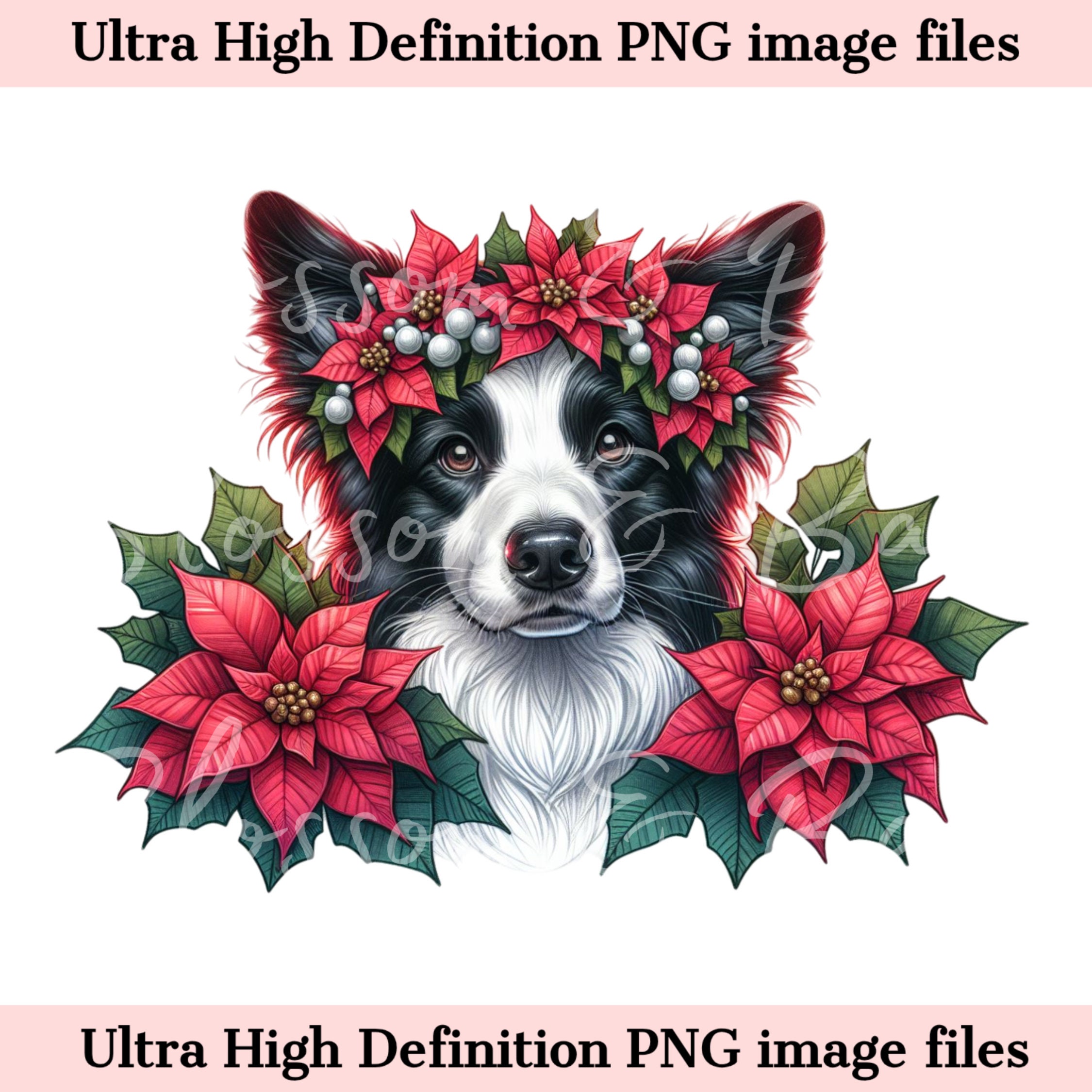 Digital Christmas Border Collie PNG Holiday Dog Art - Collie Puppy PNG ...