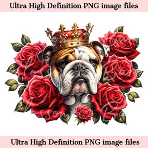 Digital English Bull Dog PNG King Crown PNG - Lindo bulldog PNG Descarga instantánea para peluquero de perros y regalo de sublimación de camisa de tatuaje vintage