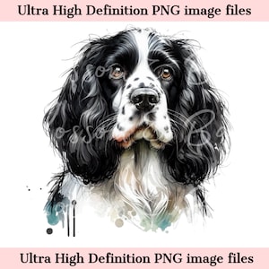 Numérique anglais Springer Spaniel PNG Beau Springer Spaniel chien PNG - chien Art PNG - téléchargement pour sublimation de chemise de maman de chien, sûr pour une utilisation