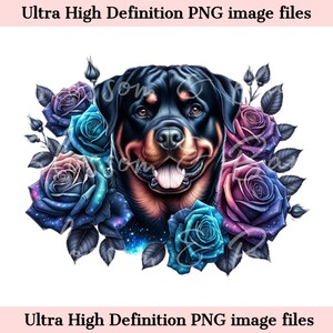 Digital Rottweiler PNG Galaxy PNG - Lindo perro Rottie PNG Descarga instantánea para peluquero de perros y regalo de sublimación de camisa de diseño de tatuaje vintage