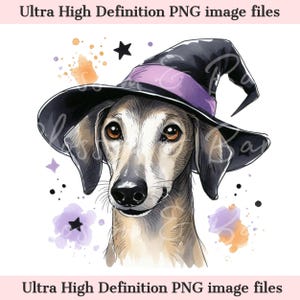 Cane Greyhound Halloween PNG digitale, cucciolo carino PNG cane strega autunnale da scaricare per toelettatore e proprietario di maglietta per cani Greyhound in sublimazione