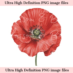 Digitale Mohnblume PNG Einfache Mohnblumen Gartenarbeit PNG - Floral Clip Art Download für Journaling Digitale Aufkleber für Planer - Kommerzielle Nutzung
