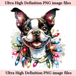 Digital - Süßer Boston Terrier PNG Weihnachtshund Porträt PNG - Download für Bostie Dog Mom Xmas Lights Christmas Terrier Mom Shirt Sublimat