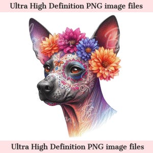 Digitaler süßer Xolo Hund PNG Tag der Toten - Floral Sugar Skull Hund PNG Download für Halloween Hund Mama Shirt Sublimation Mexikanischer haarloser Hund