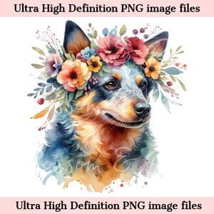 Perro de ganado australiano digital PNG elegante perro acuarela PNG- PNG floral - Descargar para sublimación de camisa Blue Heeler - Seguro para uso comercial