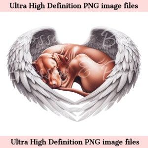 Perro Vizsla digital PNG Perro conmemorativo PNG, Retrato de mascota Vizsla con alas de ángel PNG Descarga instantánea, Descansa en paz Diseño de sublimación de mascotas