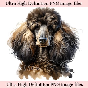 May include: A brown and black standard poodle with a watercolour effect. The dog has a serious expression and is looking directly at the viewer.