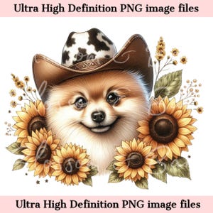 Digitaler Spitz PNG Schöner Spitz Hund PNG - Cowboy Hund Art PNG - Sofortiger Download für Sonnenblumen-Shirt-Sublimation - für kommerzielle Nutzung