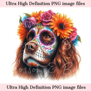 Digitale Engelse springerspaniël png Dag van de doden - mooie jachthond png-download voor Halloween-spaniëlshirt sublimatie suikerschedel