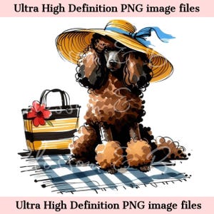 Numérique caniche PNG aquarelle plage chien PNG - Télécharger pour l'été chien maman chemise sublimation, beau caniche standard sans danger pour les entreprises
