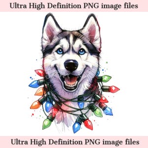 Numérique - Cute Husky PNG Noël Siberian Husky Dog Portrait PNG - Téléchargement pour sublimation de chemise de Noël lumières de Noël pour maman Husky