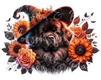 Peut inclure: Illustration numérique d'un Terre-Neuve portant un chapeau de sorcière noir, entouré de tournesols et de roses orange. Le chien a des poils brun foncé et est centré dans l'image. Le texte "Ultra High Definition PNG image files" est en haut et en bas.
