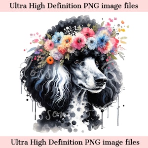 Digital Merle Standard Poodle PNG Elegante Acuarela Perro PNG - Poodle Perro PNG - Descargar para Sublimación de Camisa Poodle - Seguro para Comercial