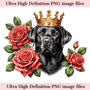 Digital Black Labrador PNG King Crown PNG - Lindo perro Labrador Retriever negro PNG Descarga instantánea para el logotipo del peluquero de perros y regalo de sublimación