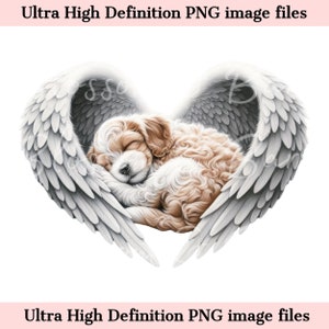 Digital Cavachon PNG Dog Memorial PNG - Retrato de mascota con alas de ángel PNG Descarga instantánea para el funeral de Angel Dog - Diseño de sublimación de duelo