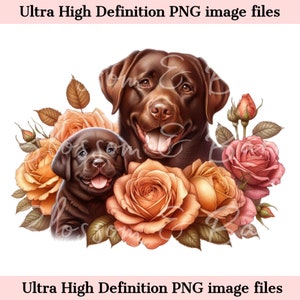 Digital Chocolate Lab PNG Mamá y Laboratorio Cachorro PNG Dog Art - Lindo Labrador Retriever PNG Descarga instantánea para logotipo de mascota y regalo de sublimación
