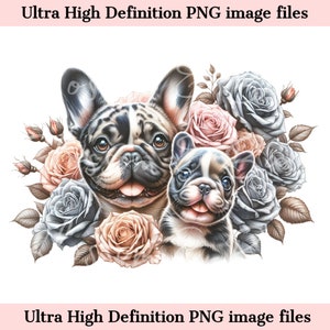 Merle Französischer Bulle Hund PNG Mama und Welpe PNG Hundekunst - Süßer Bulle Hund PNG Sofort-Download für Grooper oder Pet Shop Logo und Sublimationsgeschenk