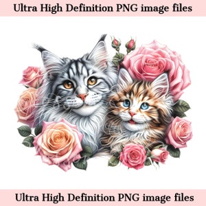 Digitale Maine Coon PNG Katzenmama und Kätzchen PNG - Katzenzüchter PNG Sofortiger Download für Katzenfriseur-Logo und Shirt-Sublimationsgeschenk