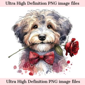 Digital Valentine's Aussiedoodle PNG Druckbares Hundeportrait PNG - Doodle Hund PNG - Download für Hundemutter Valentinstag Shirt Sublimation