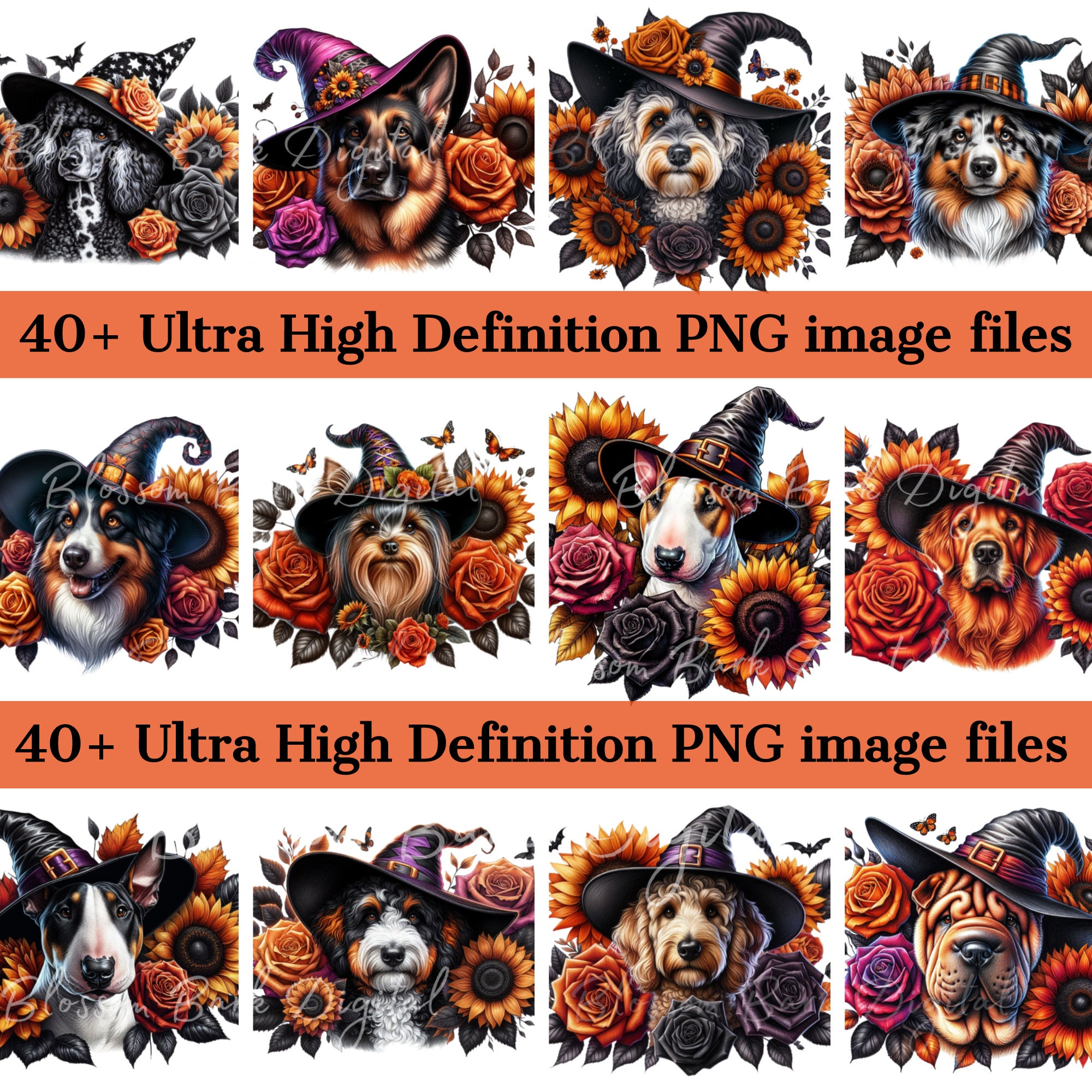 Digital Floral Halloween Dog Bundle - Dog Breed Png Bundle - Dog Witch ...