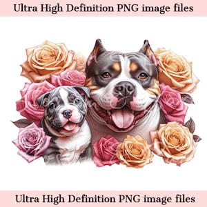 Puede incluir: Un perro American Bully blanco y negro con una mancha marrón en la frente, y un cachorro American Bully blanco y negro más pequeño, están rodeados de rosas rosas y amarillas.