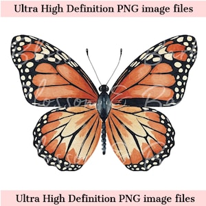Monarchvlinder PNG - Instant Download - Cute Coquette Butterfly Bow PNG voor sublimatie van shirt en beker - Trendy Floral Cottagecore, PNG
